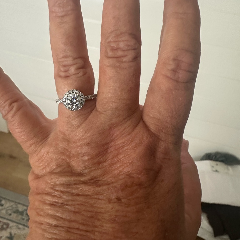 Moissanite Halo Solitaire Round Cut Engagement Ring in Silver